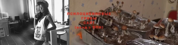 прущие крисы Вязники