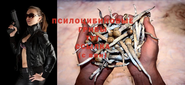 прущие грибы Богородск